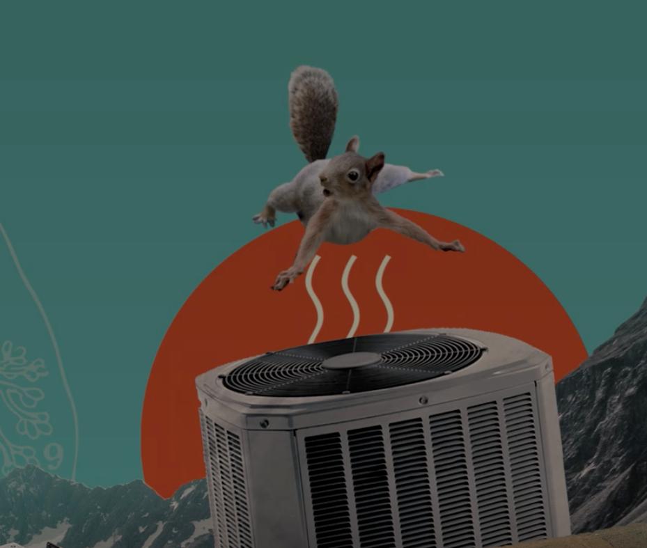 Fun loving squirrel using AC unit as a wind tunnel