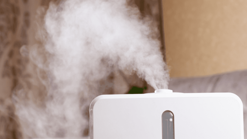 What Is Relative Humidity & How is it Measured? - Molekule