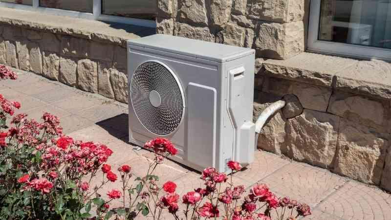 Oops! Looks like this image is too cool for alt text!