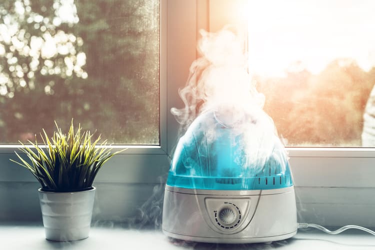 best whole house humidifier