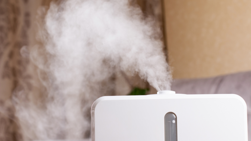 Ideal Humidity For Home   Humidifier 1 800x450 