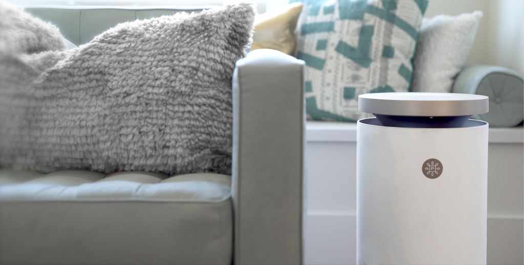 Best Air Purifiers for Mold Eliminate mold and mold spores